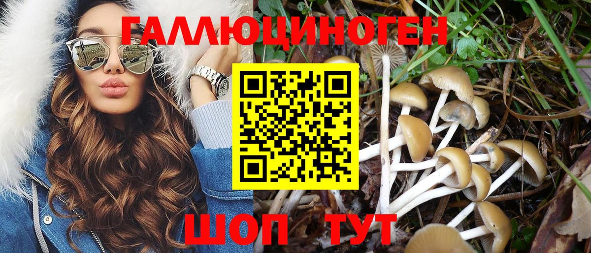 Галлюциногенные грибы ЛСД Нальчик